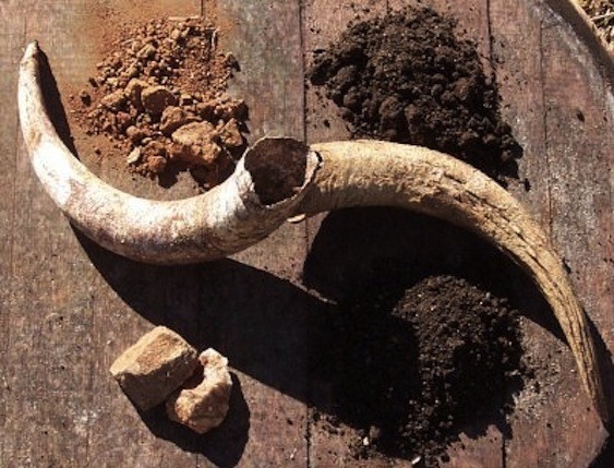 Biodynamic agriculture requires all sorts of unconventional composting and preparations.