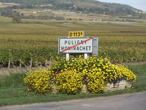 Don't say the "t" in Montrachet. Photo credit: JAO Wine Imports.