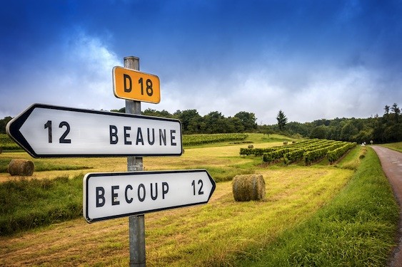 Of all the French wine regions, Burgundy is probably the most confusing.