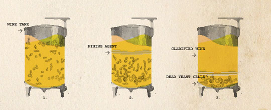 Fining is when you add something to the wine to clarify it. Photo credit: Star Chefs.