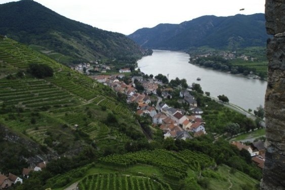 Many of the tainted wines came from Austria's Danube Valley.