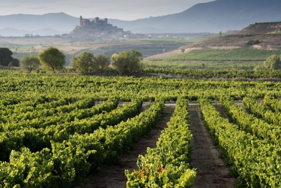 Rioja is one of Spain's most famous (and beautiful) regions. Photo credit: Shutterstock.