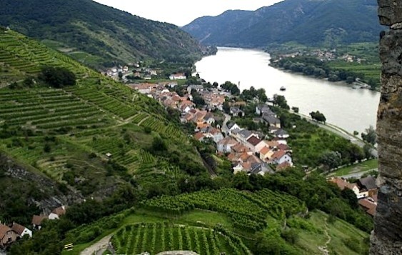 Many of Austria's best Grüners come from the scenic Wachau region along the Danube.