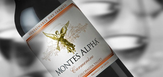 Try one of these carmenères for yourself and see what you think.