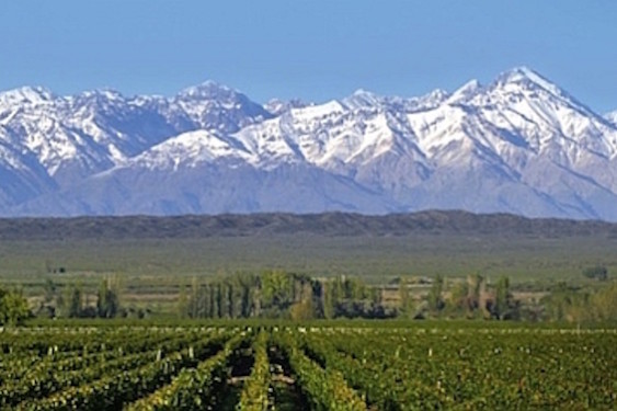 Mendoza is Argentina's largest and most famous wine region.