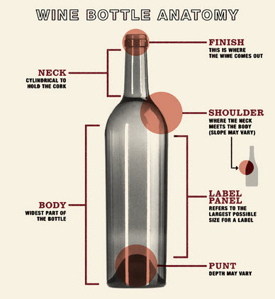 There are just eight parts to a wine bottle you need to know - give or take. Image source: winery sage.