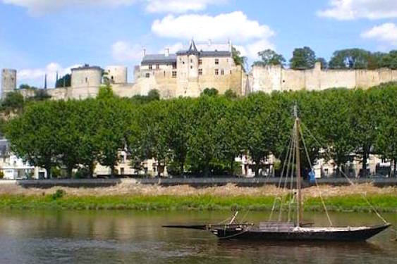 Chinon is famous for its castle and its wines.
