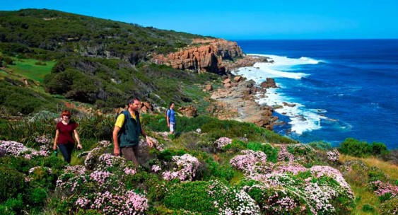Besides the wine, the Cape to Cape track is a great reason to visit Western Australia's Margaret River.